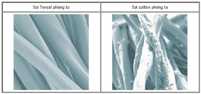 Chất liệu tencel là gì? Cẩm nang kiến thức về vải tencel